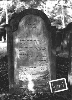 Grabstein 441 (Index: 99895648) Material: Sandstein Zustand: gut Maße HxBxT: 128x70x8 cm Beschreibung: Stele mit eingezogenem Rundbogenabschluß: Grabstein 441