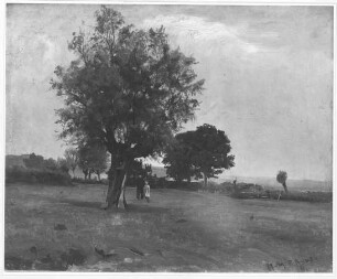 Sommerliche Landschaft mit Weidenbaum