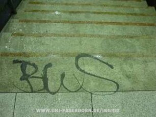 BWS