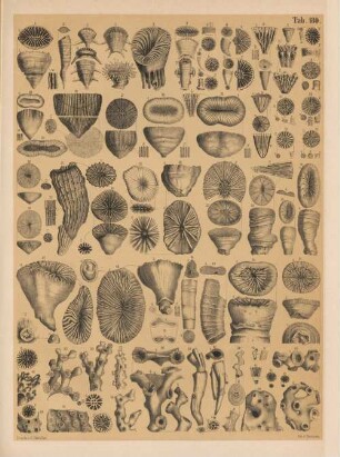 Tab. 180