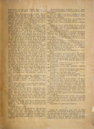 Die neue Welt : illustriertes Unterhaltungsblatt für das Volk. 1894