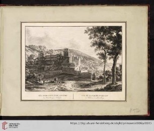 Die nord-östliche Ansicht des Heidelberger Schlosses