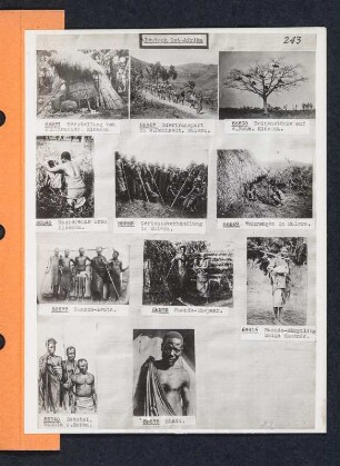 Albumblatt 22 mit Angebotsserie "Deutsch-Ost-Afrika"