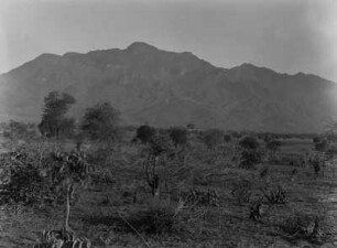 Die Uluguru-Berge : Ausläufer der Uluguru-Berge