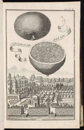 p. 136b Veilhoff. - Ehemaliger Herrensitz Oberveilhof, Nürnberg-Veilhof