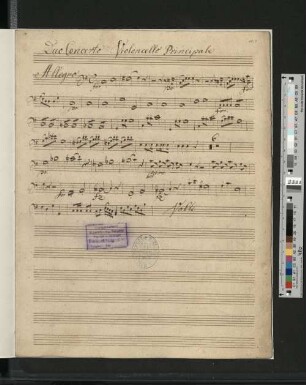 Violoncello Principale
