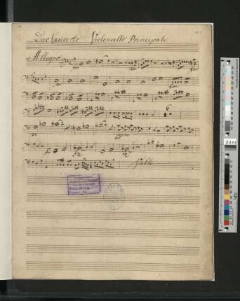 Violoncello Principale