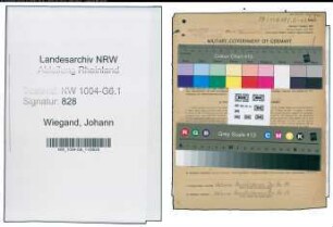 Entnazifizierung Johann Wiegand , geb. 09.08.1907 (Vorarbeiter)