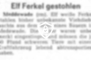 Elf Ferkel gestohlen