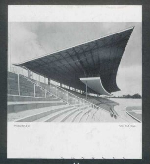 Wildparkstadion