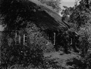 mit Reet gedecktes Bauernhaus