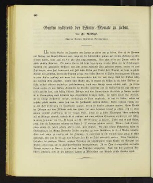 Gurken während der Winter-Monate zu ziehen.