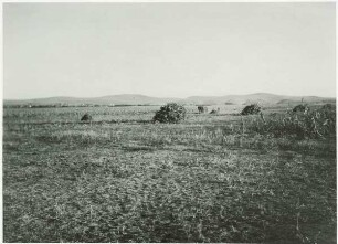 Steppe zwischen Tulcea und Babadag mit Hügel von Congaz