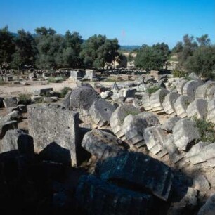 Olympia, Zeus-Tempel im Zentrum der Altis, Säulentrommeln auf der südlichen Langseite, Erdbeben, 6.v.