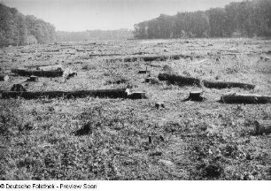 Elster-Luppe-Regulierung, um 1935