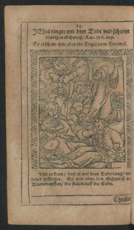 13. Jesus ringet mit dem Tode und schwitzt blutigen Schweiß/ ...