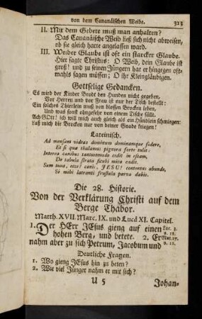 313-319, Die 28. - 29. Historie