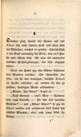 Tolle Welt : Ein Roman, 2