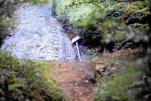 Trittau: Mühlenau
