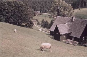 Blick auf eine Ortschaft im Erzgebirge
