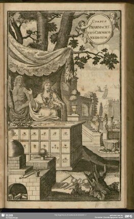 Corpus Pharmaceutico Chymico Medicum