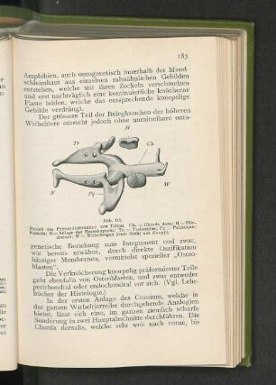 Abb. 119.