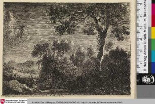 [Landschaft bei Nacht; Effet de nuit]