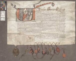 Butzbach: Indulgentia Cardinalium pro altari novo in ecclesia parochiali Budesbach Moguntine Dioceses per dominam Elizabeth et ejus virum dotato