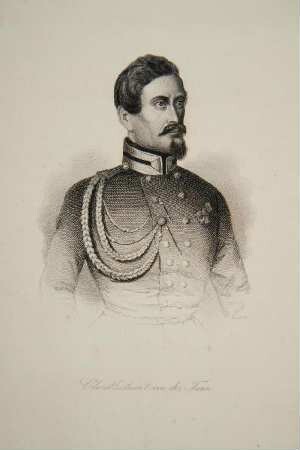 Bildnis von Ludwig Freiherr von der Tann (1815-1881)