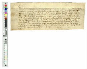 Bürgermeister, Schöffen, Rat und ganze Gemeinde von Siegen bescheinigen, dass sie den Grafen Johann, Engelbert und Johann von Nassau nach Bestätigung der Siegener Stadtprivilegien gehuldigt haben.