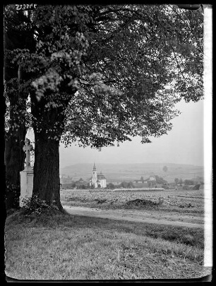 Blick nach Königshain Oberlausitz