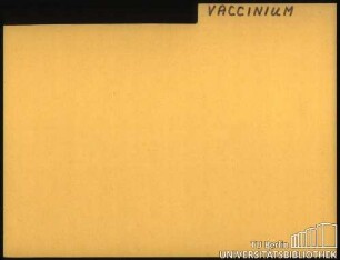 VACCINIUM