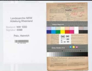 Entnazifizierung Heinrich Pelz, geb. 07.01.1905 (Verw.Amtmann)