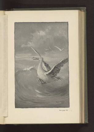See page 199