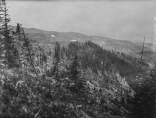 Wald : Blick über bewaldete Berge