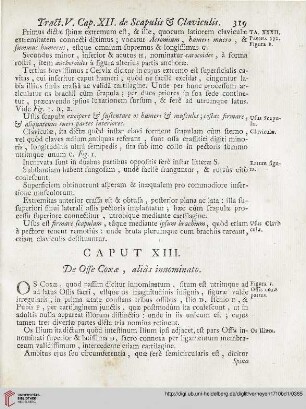 Caput XIII: De Osse Coxae, alias innominato