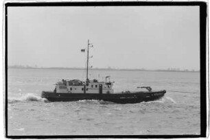 Sea Elbe (1979), H. H. Schütt, Wewelsfleth