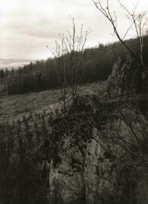 Am Rothstein bei Löbau. Wohl Wachstein (Basalt) gegen Landeskrone