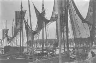 Lauterbach (Rügen). Hafen. Segelkutter mit zwischen Masten aufgehängten Fangnetzen