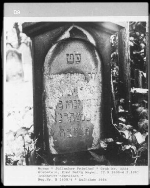 Grabstein von Kind Betty Mayer (gestorben 1891.02.04)