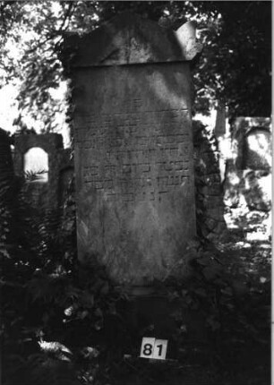 Grabstein 81 (Index: 100084955) Maße HxBxT: 150x53x21 cm Beschreibung: profiliert. Sockel, giebelart. Abschl. m. Eckakroteren, rechteck. Schriftfeld eingetief: Grabstein 81