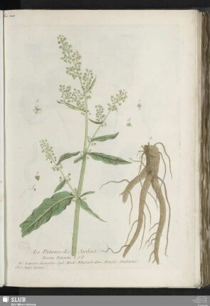 La Patience des Jardins