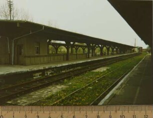 Fotografie, Sommerfeld (Lubsko)