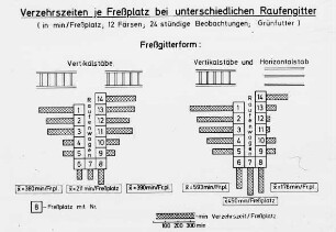 Verzehrszeiten je Freßplatz bei unterschiedlichen Raufengitter (in min/Freßplatz, 12 Färsen, 24 stündige Beobachtungen, Grünfutter)