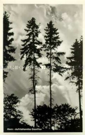 Aufziehendes Gewitter im Harz