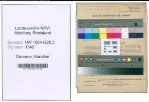 Entnazifizierung Karoline Demmer , geb. 30.09.1918 (Lebensmittelhaendlerin)