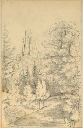 Der Amselgrund in der Sächsischen Schweiz mit dem Felsen Große Gans