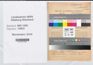 Entnazifizierung Erich Bornemann, geb. 25.07.1901 (Landesinspektor)