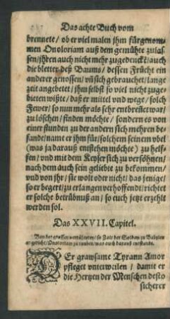 Das XXVII. Capitel.
