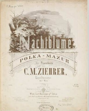 Nachtblume : Polka-Mazur ; für Pianoforte ; op. 147